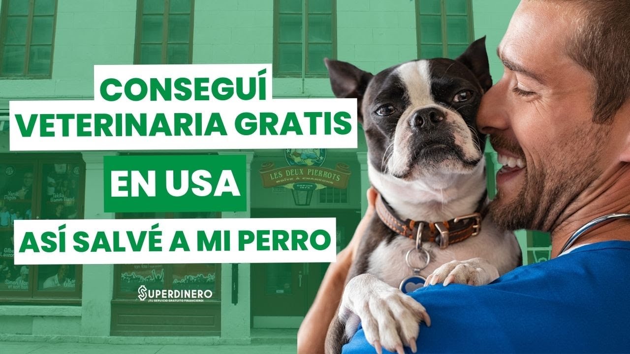 🐶 mejores VETERINARIAS en USA 🇺🇸 GRATUITAS y de bajo COSTO 🐱